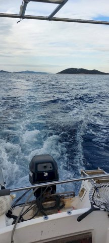 Adria 590 s motorom mercury