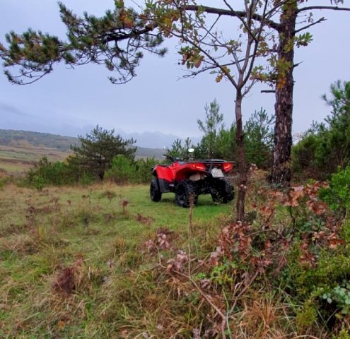 Arctic Cat Alterra TRV 700***, 2017 god.