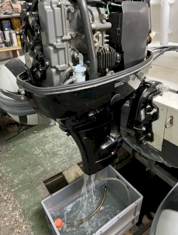 BWA 480 5m +Suzuki DF 40