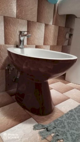 Bide, ispravan, s pipom, smeđi