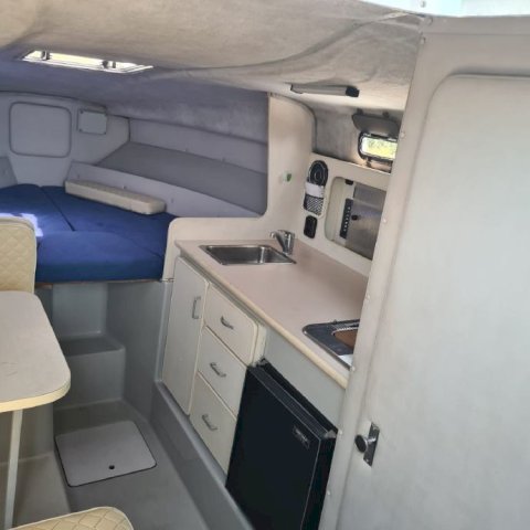 Chris-Craft gliser s Volvo Pentom KAD 44 260 KS