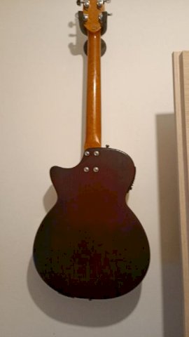 Elektro-akustična Crafter 120/N
