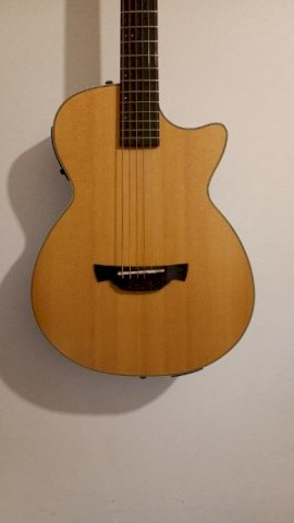 Elektro-akustična Crafter 120/N
