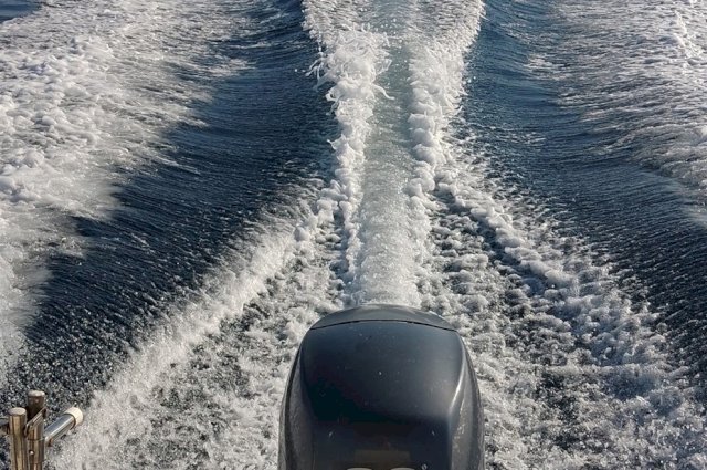 FISHERMAN ATLANTIC 505