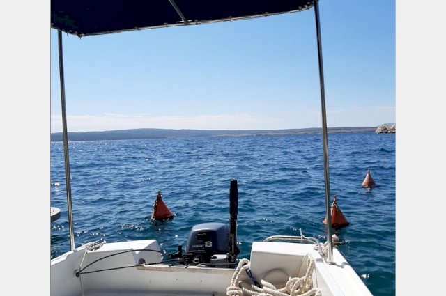Gradac 5,80 - Yamaha 8 PS vanbrodski