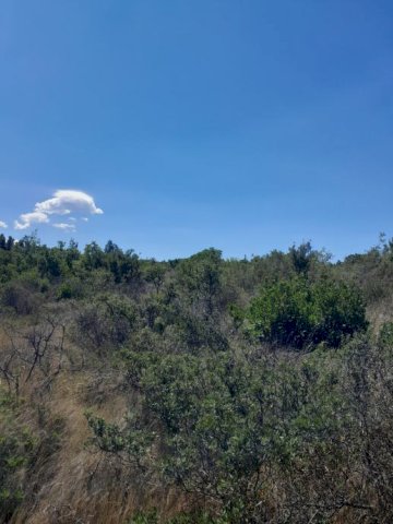 Građevinsko zemljište, Močići, 3002 m2