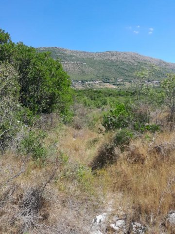 Građevinsko zemljište, Močići, 3002 m2