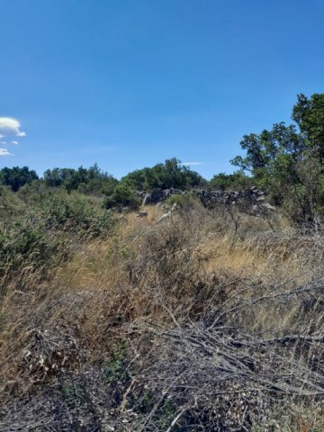 Građevinsko zemljište, Močići, 3002 m2