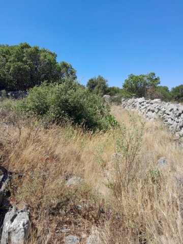 Građevinsko zemljište, Močići, 3002 m2