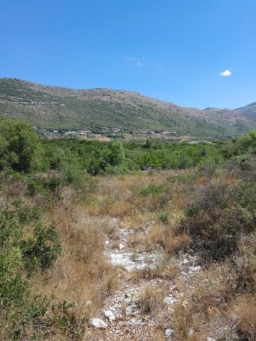 Građevinsko zemljište, Močići, 3002 m2