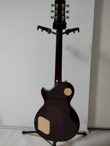 Hoyer gitara P/M