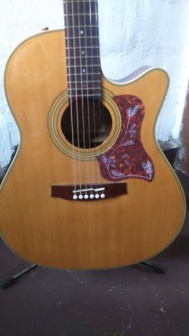 Ibanez AE20 NT
