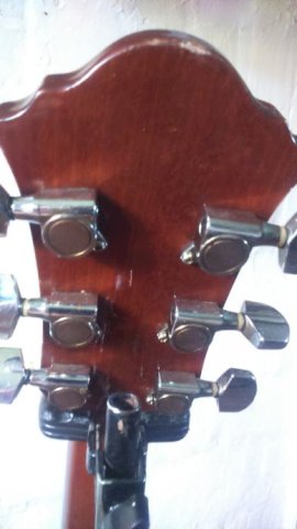 Ibanez AE20 NT