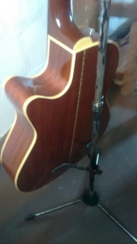 Ibanez AE20 NT