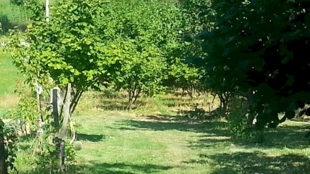 Kuća 75 m2 i 1288 m2 građevinsko zemljište