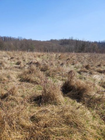 Kuća: Golinja, 30min od Zg, 250m2 15ha zemlje