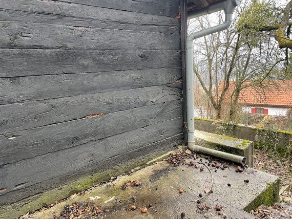 Kuća Od Hrastovine, Otporna Na Potrese, Ekološk