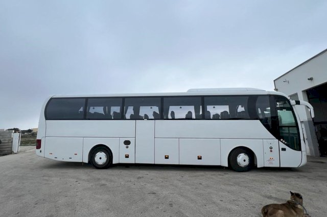 MAN Lions Coach EURO III