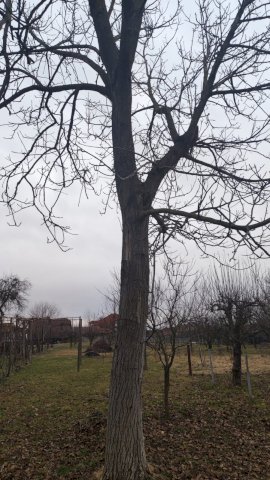 OBITELJSKA KUĆA U MURSKOM SREDIŠĆU