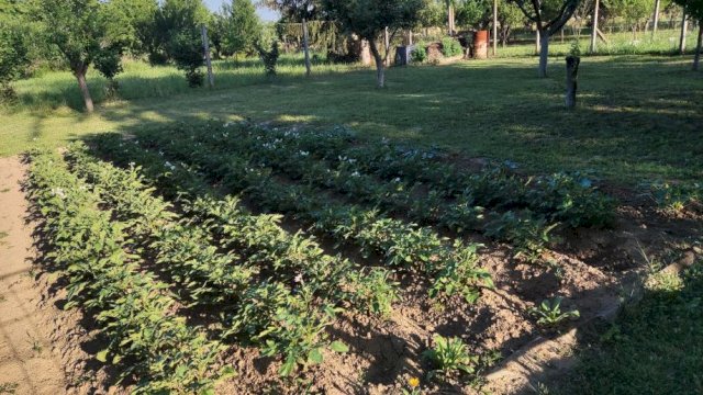 Obiteljska kuća, 5 soba