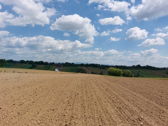 Poljoprivredno Zemljiste 5.5 Ha + Građevinsko