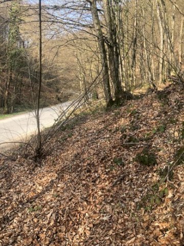 Samobor, Otruševec, Zemljište