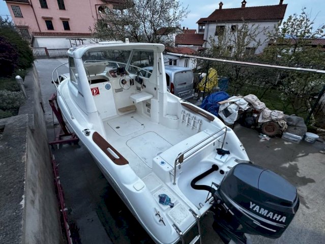 Sessa Dorado 20