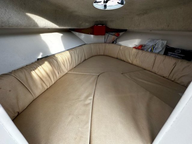 Sessa Dorado 20