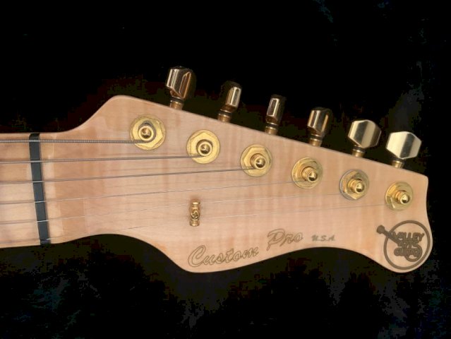 Valley arts custom pro elektricna gitara