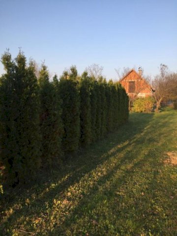 Vikendica (Stružec Posavski) , 36 m2
