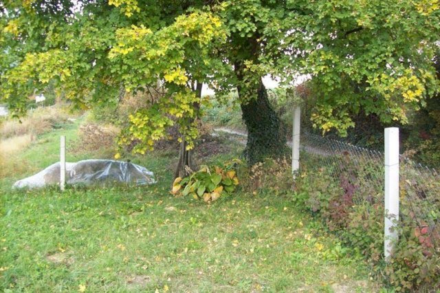 ZEMLJIŠTE - SVETA JANA, DRAGA SVETOJANSKA