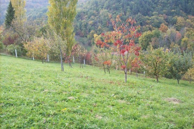 ZEMLJIŠTE - SVETA JANA, DRAGA SVETOJANSKA