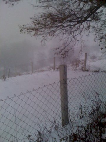 ZEMLJIŠTE - SVETA JANA, DRAGA SVETOJANSKA