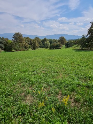 Zemljište površine 3000m2