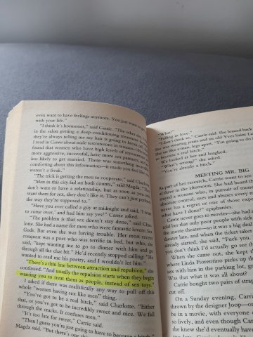 Candace Bushnell, Sex and the city