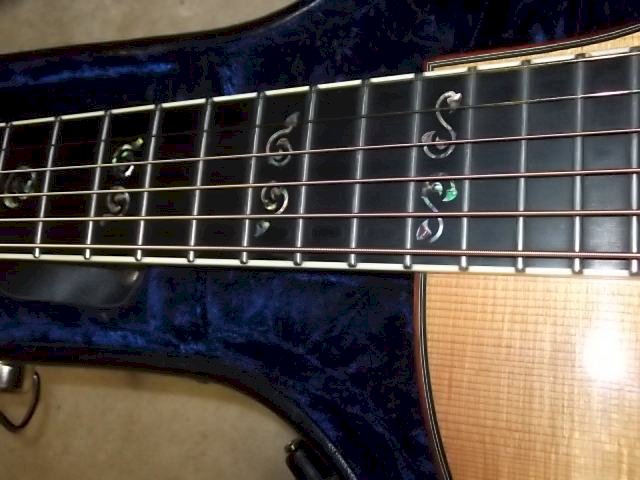 Larrivee LSV 11 E