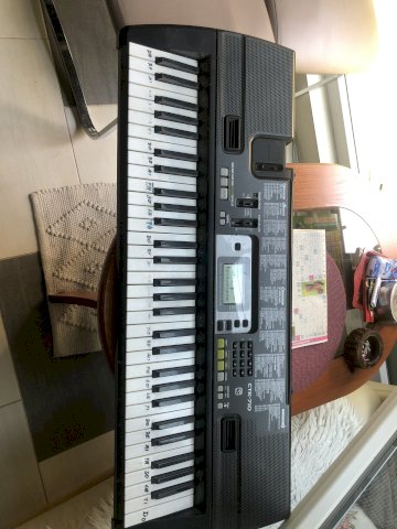 Casio  sintersajzer i profi lemilica mjenjam za a