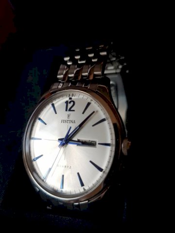 Sat Festina 20204-1