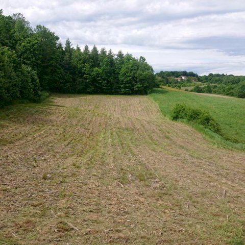 Zemljište, 4703 m2