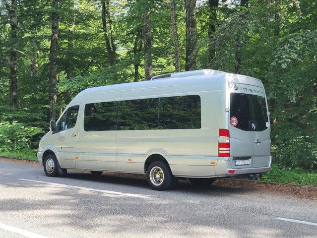 Mercedes Sprinter Minibus, 2007 god.
