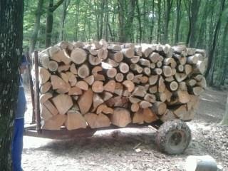 Mjenjam mješana drva za ogrijev za svinje i odoj