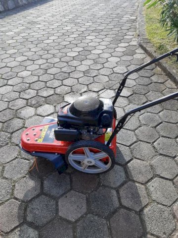 MTD motorna kosilica