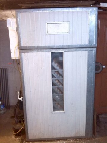 Inkubator 3200 jaja kompjuteriziran + valionik