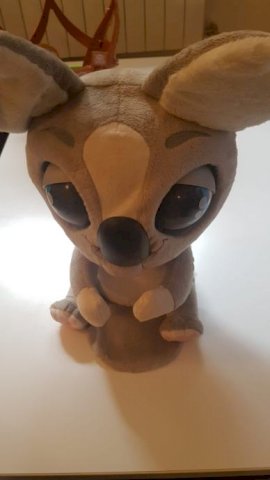 Koala