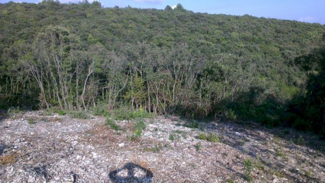 Poljoprivredno zemljište: Duga Uvala, 1051 m2