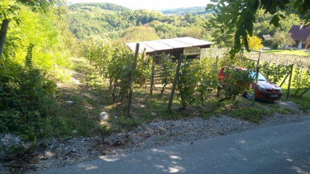Gornje Orešje, vinograd i klijet 20 m2