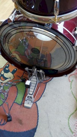 Nova cijena-PEARL MASTER CASTUM MAPLE SHELL