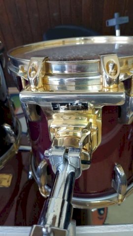 Nova cijena-PEARL MASTER CASTUM MAPLE SHELL