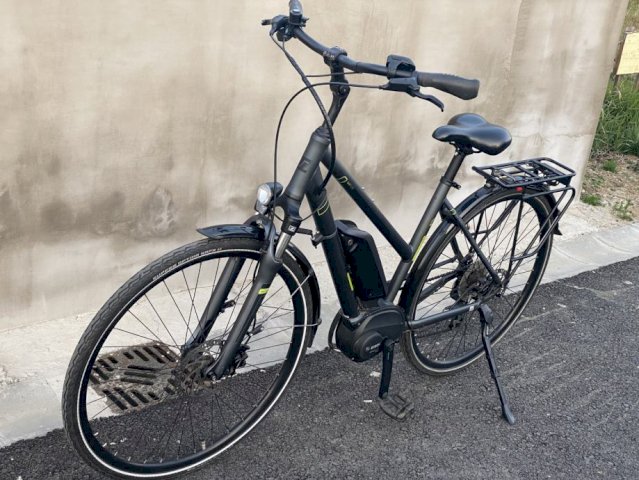 Triumph E-Bird Plus 8K Bosch