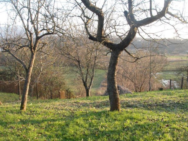 Kuća: Stubička Slatina, 80.00 m2